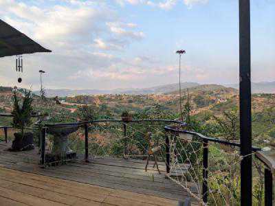 The view from the deck at Midori Coffee Farm
